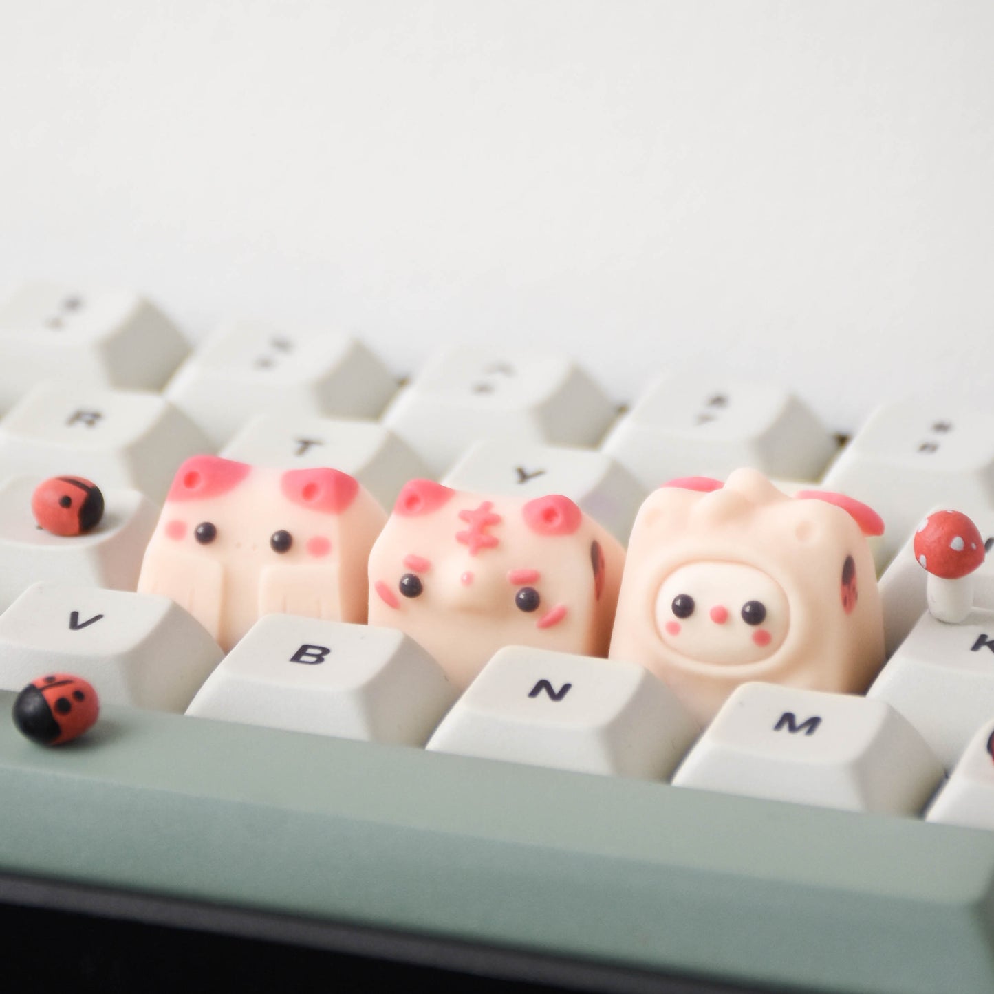 okeydokey studio x SA Fledgling