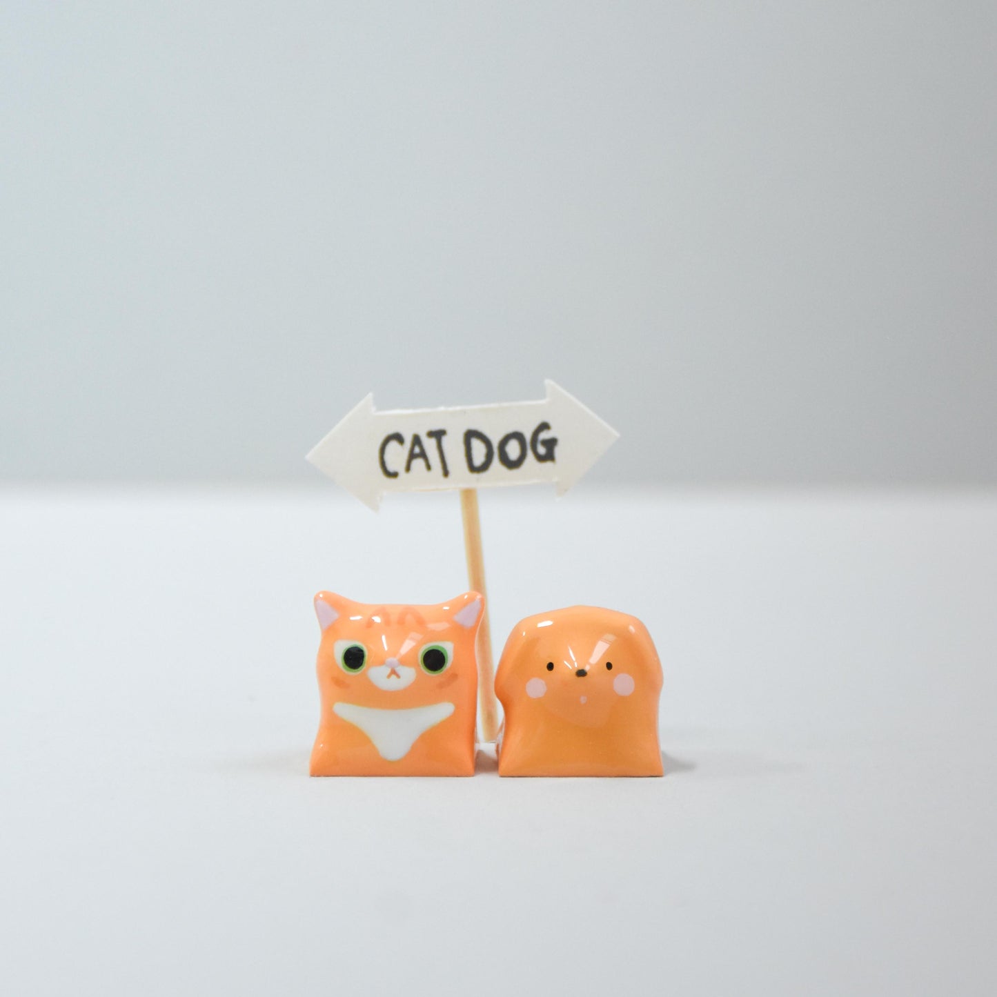 Catto & Doggo