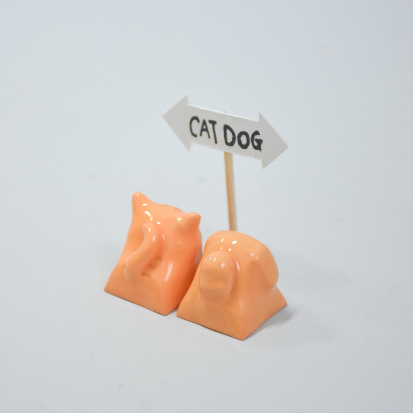 Catto & Doggo