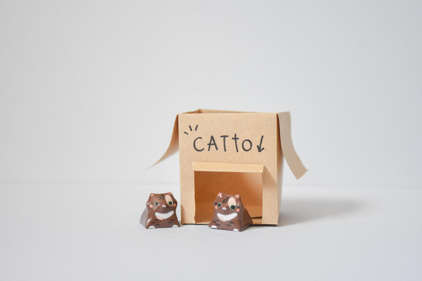 Catto - Bubbles