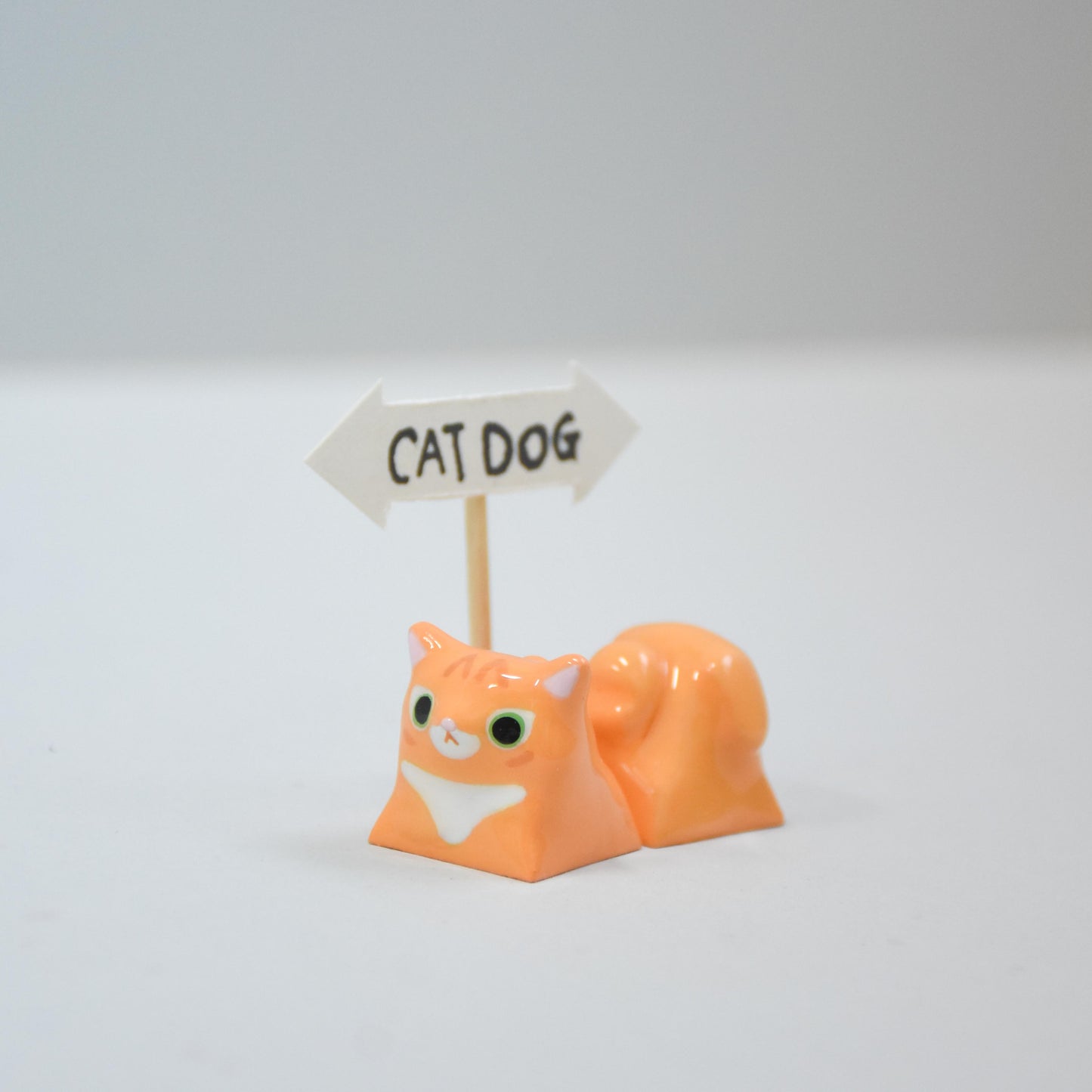 Catto & Doggo